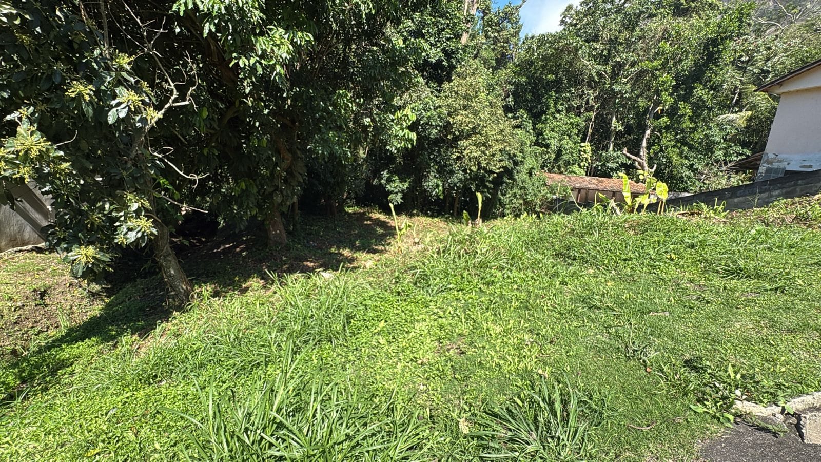 TERRENO AMPLO EM MARICÁ