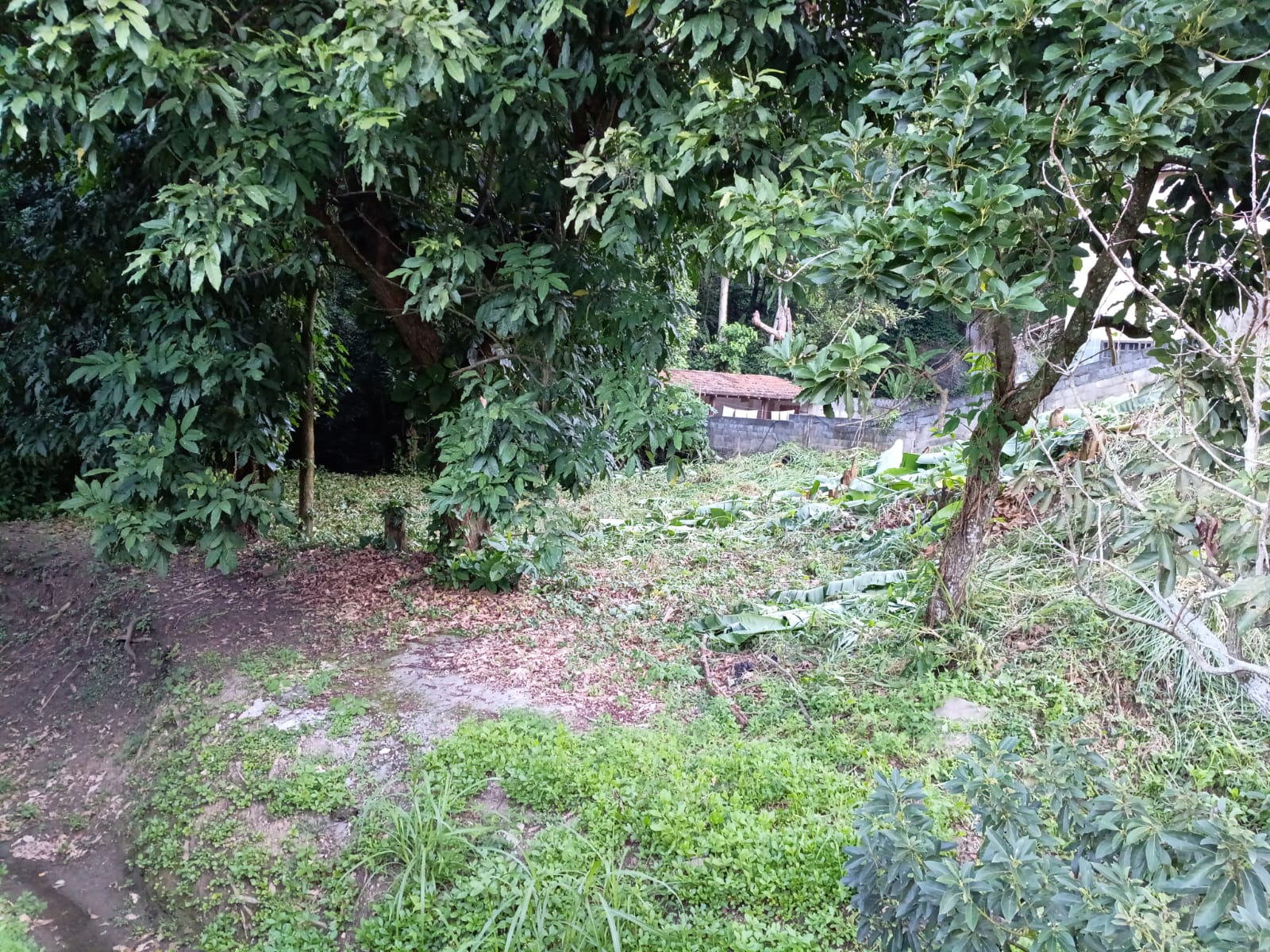 TERRENO AMPLO EM MARICÁ