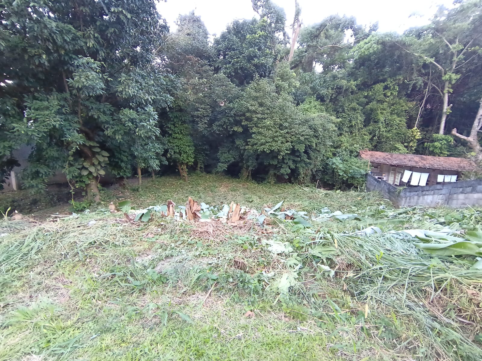 TERRENO AMPLO EM MARICÁ